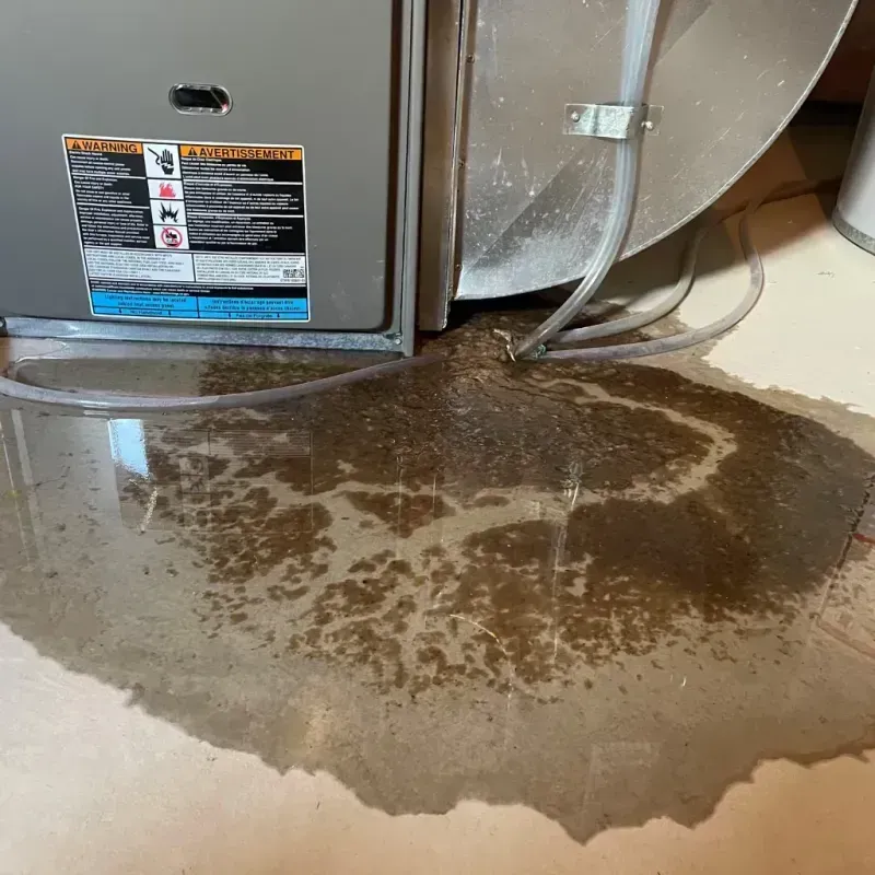 Appliance Leak Cleanup in West Point, VA